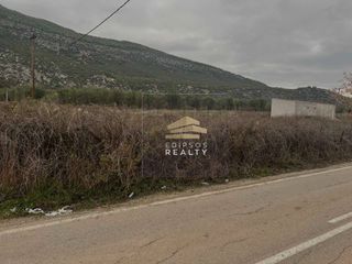 Αγροτεμάχια 2.200 τ.μ. για πώληση, Εύβοια, Αιδηψός-thumb-3