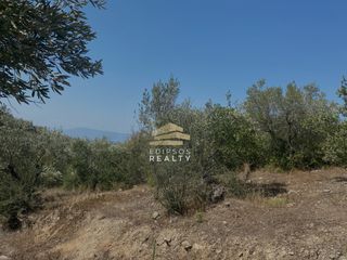 Αγροτεμάχια 10.787 τ.μ. για πώληση, Εύβοια, Αιδηψός-thumb-1