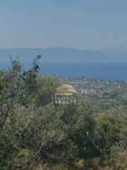 Αγροτεμάχια 10.787 τ.μ. για πώληση