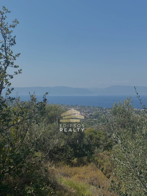 Αγροτεμάχια 10.787 τ.μ. προς πώληση, Άγιος Αιδηψού