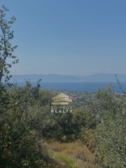 Αγροτεμάχια 10.787 τ.μ. για πώληση, Εύβοια, Αιδηψός-thumb-3