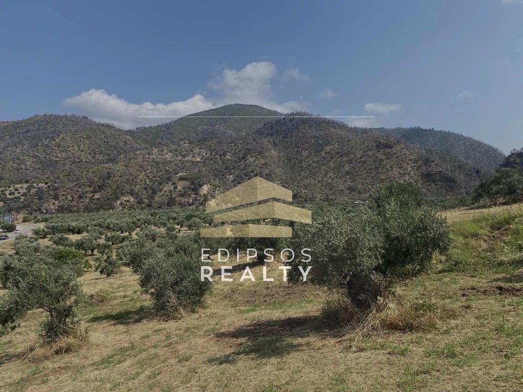 Αγροτεμάχια 31.485 τ.μ. προς πώληση, Ροβιές