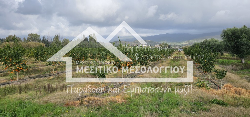 Αγροτεμάχια 43.000 τ.μ. πρός πώληση, Αιτωλοακαρνανία, Ιερά Πόλη Μεσολογγίου