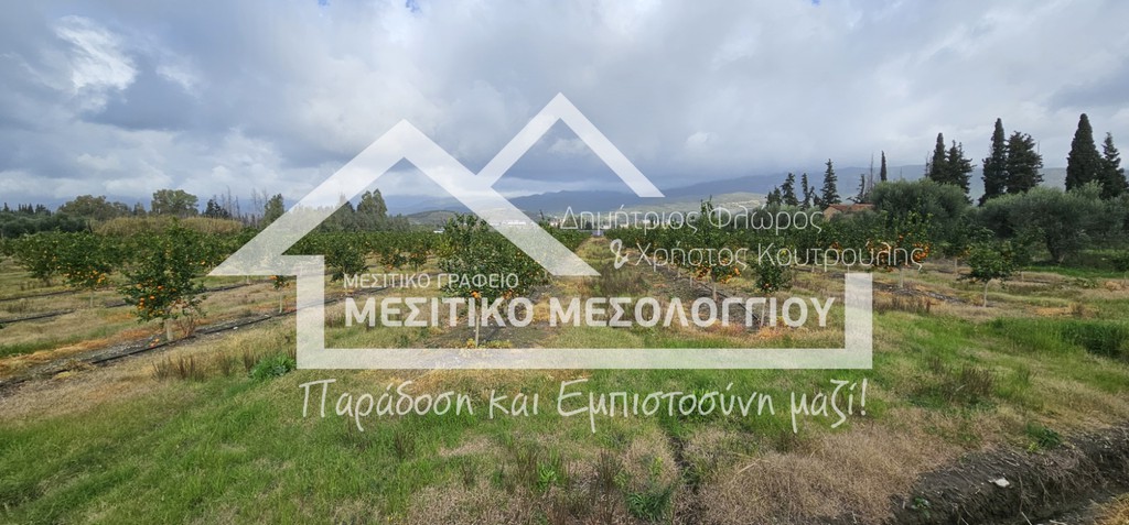 Αγροτεμάχια 43.000 τ.μ. πρός πώληση, Αιτωλοακαρνανία, Ιερά Πόλη Μεσολογγίου