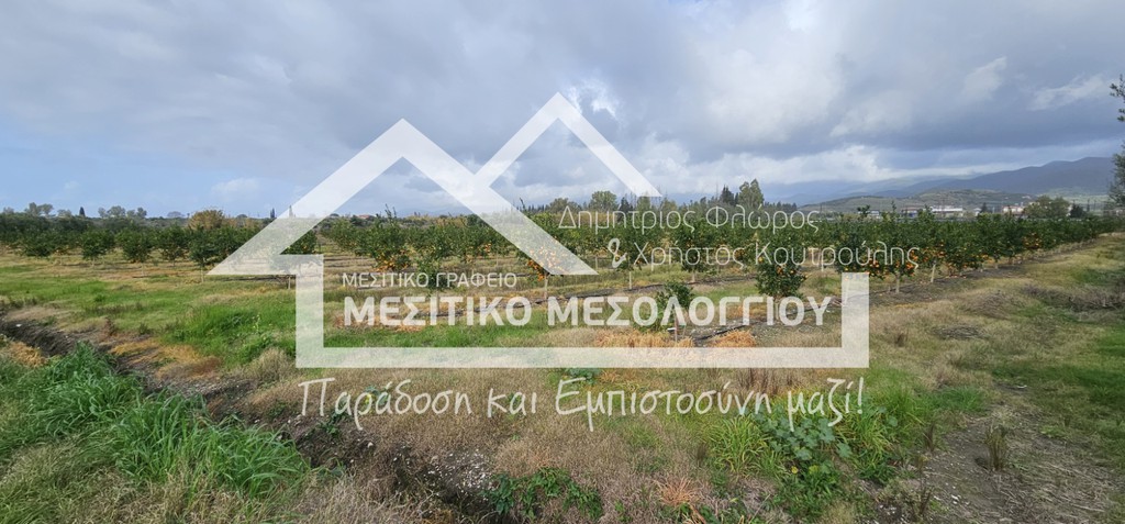 Αγροτεμάχια 43.000 τ.μ. πρός πώληση, Αιτωλοακαρνανία, Ιερά Πόλη Μεσολογγίου