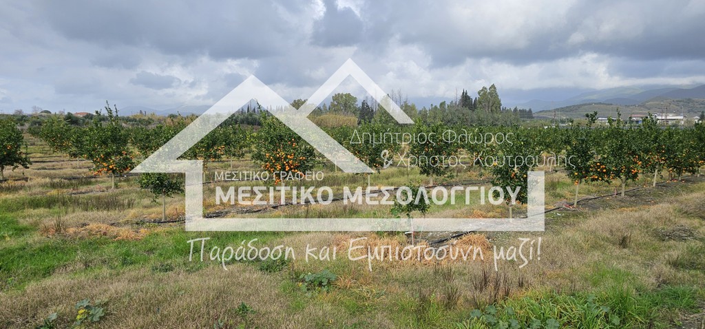 Αγροτεμάχια 43.000 τ.μ. πρός πώληση, Αιτωλοακαρνανία, Ιερά Πόλη Μεσολογγίου