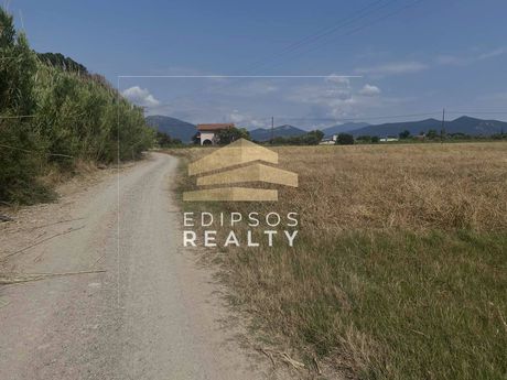 Αγροτεμάχια 8.150 τ.μ. για πώληση