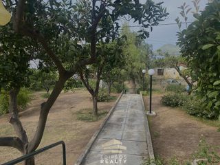 Κτίριο 98 τ.μ. προς πώληση, Λουτρά Αιδηψού-thumb-9