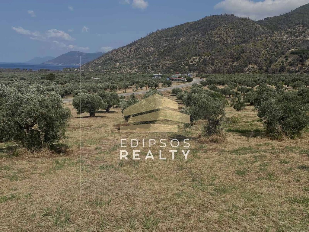 Αγροτεμάχια 10.950 τ.μ. προς πώληση, Ροβιές
