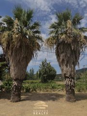 Μεζονέτα 120 τ.μ. για πώληση, Εύβοια, Αιδηψός-thumb-25