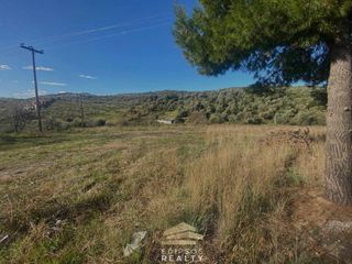 Οικόπεδο 10.269 τ.μ. για πώληση, Εύβοια, Αιδηψός-thumb-3