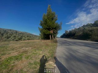 Οικόπεδο 10.269 τ.μ. για πώληση, Εύβοια, Αιδηψός-thumb-5