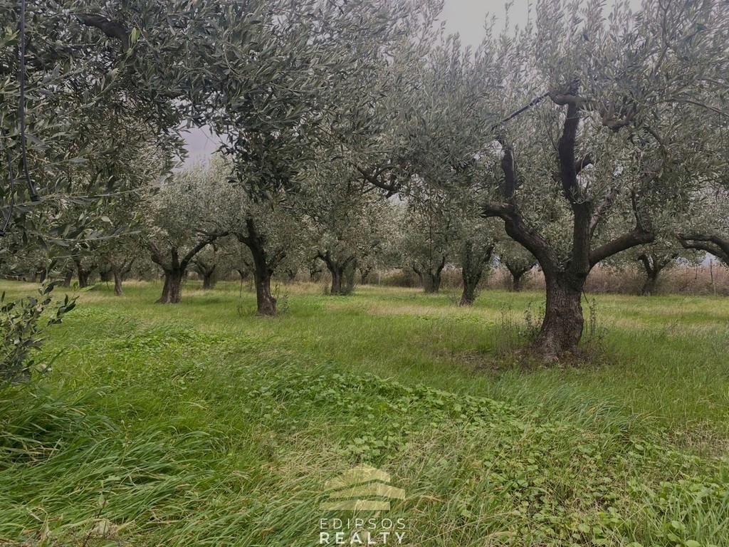 Αγροτεμάχια 65.000 τ.μ. προς πώληση, Κεφαλές