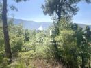 Οικόπεδο 805τ.μ. για πώληση-Διόνυσος