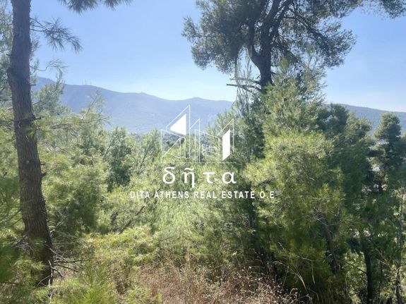 Οικόπεδο 805 τ.μ. για πώληση, Αθήνα - Βόρεια Προάστια, Διόνυσος