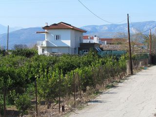 Οικόπεδο 17.000 τ.μ. για πώληση, Αργολίδα, Άργος-thumb-4