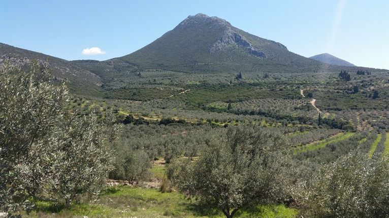 Αγροτεμάχια 10.000 τ.μ. για πώληση, Αργολίδα, Μυκήνες