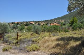 Οικόπεδο 420 τ.μ. για πώληση, Αργολίδα, Επίδαυρος-thumb-15