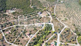 Οικόπεδο 420 τ.μ. για πώληση, Αργολίδα, Επίδαυρος-thumb-10