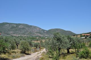 Οικόπεδο 420 τ.μ. για πώληση, Αργολίδα, Επίδαυρος-thumb-22