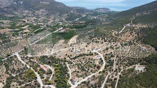 Οικόπεδο 420 τ.μ. για πώληση, Αργολίδα, Επίδαυρος-thumb-7