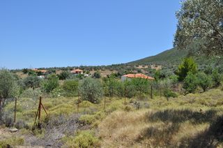 Οικόπεδο 420 τ.μ. για πώληση, Αργολίδα, Επίδαυρος-thumb-18