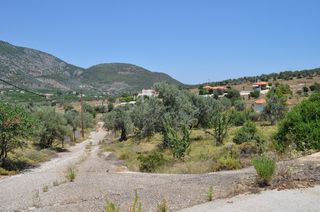 Οικόπεδο 420 τ.μ. για πώληση, Αργολίδα, Επίδαυρος-thumb-17