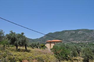 Οικόπεδο 420 τ.μ. για πώληση, Αργολίδα, Επίδαυρος-thumb-23