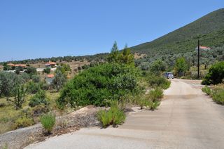 Οικόπεδο 420 τ.μ. για πώληση, Αργολίδα, Επίδαυρος-thumb-16