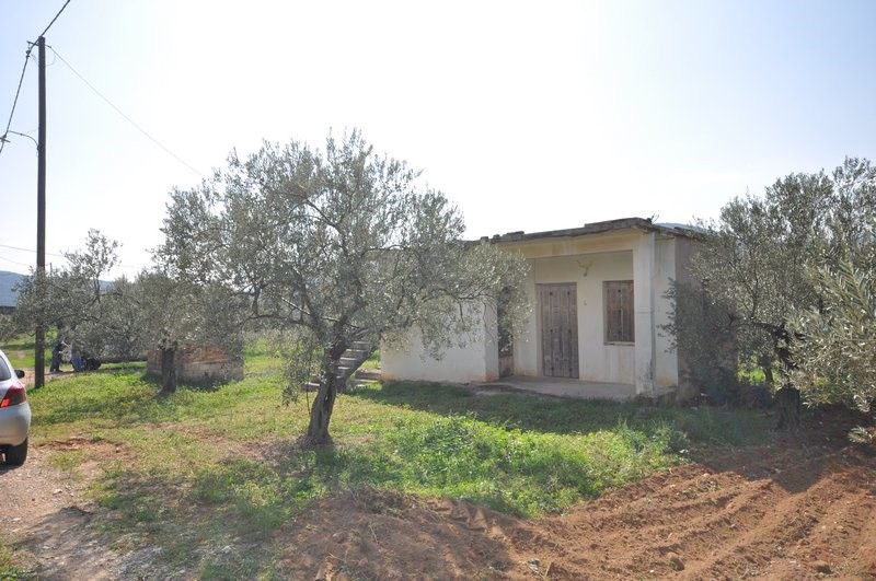 Μονοκατοικία 55 τ.μ. προς πώληση, Αργολίδα, Ασκληπιείο