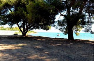 Αγροτεμάχια 5.000 τ.μ. προς πώληση, Αρχαία Επίδαυρος-thumb-21