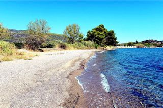 Αγροτεμάχια 5.000 τ.μ. προς πώληση, Αρχαία Επίδαυρος-thumb-10