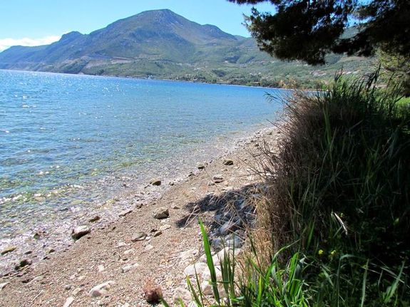 Αγροτεμάχια 5.000 τ.μ. για πώληση, Αργολίδα, Επίδαυρος