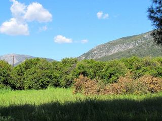 Αγροτεμάχια 5.000 τ.μ. προς πώληση, Αρχαία Επίδαυρος-thumb-15
