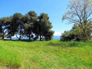 Αγροτεμάχια 5.000 τ.μ. προς πώληση, Αρχαία Επίδαυρος-thumb-3