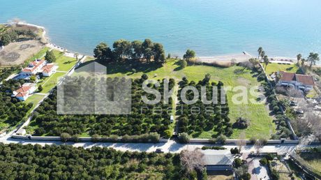 Αγροτεμάχια 5.000τ.μ. για πώληση-Επίδαυρος