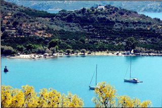 Αγροτεμάχια 5.000 τ.μ. προς πώληση, Αρχαία Επίδαυρος-thumb-14