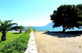 Αγροτεμάχια 5.000 τ.μ. προς πώληση, Αρχαία Επίδαυρος-thumb-7