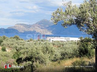 Βίλλα 950 τ.μ. για πώληση, Αργολίδα, Επίδαυρος-thumb-23