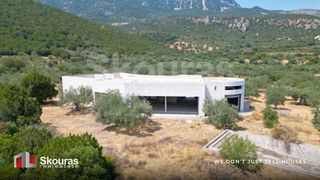 Βίλλα 950 τ.μ. για πώληση, Αργολίδα, Επίδαυρος-thumb-7