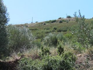 Αγροτεμάχια 18.370 τ.μ. για πώληση, Αργολίδα, Ναύπλιο-thumb-14