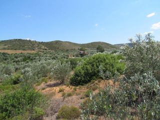 Αγροτεμάχια 18.370 τ.μ. για πώληση, Αργολίδα, Ναύπλιο-thumb-7