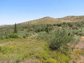 Αγροτεμάχια 18.370 τ.μ. για πώληση, Αργολίδα, Ναύπλιο-thumb-9