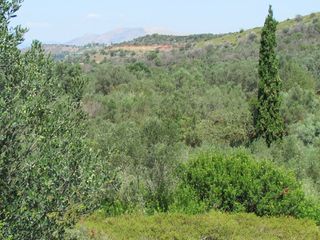 Αγροτεμάχια 18.370 τ.μ. για πώληση, Αργολίδα, Ναύπλιο-thumb-13