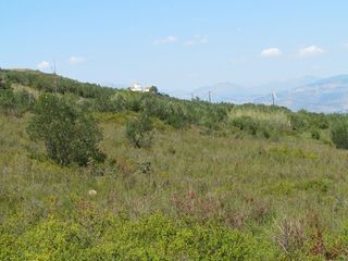 Αγροτεμάχια 18.370 τ.μ. για πώληση, Αργολίδα, Ναύπλιο-thumb-12