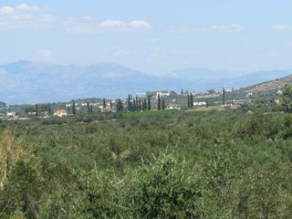 Αγροτεμάχια 18.370 τ.μ. για πώληση, Αργολίδα, Ναύπλιο-thumb-6