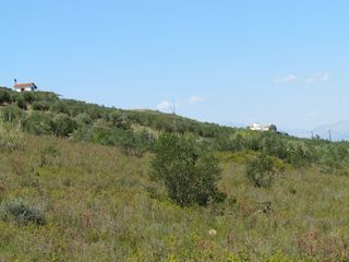Αγροτεμάχια 18.370 τ.μ. για πώληση, Αργολίδα, Ναύπλιο-thumb-11