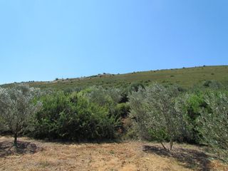Αγροτεμάχια 18.370 τ.μ. για πώληση, Αργολίδα, Ναύπλιο-thumb-16