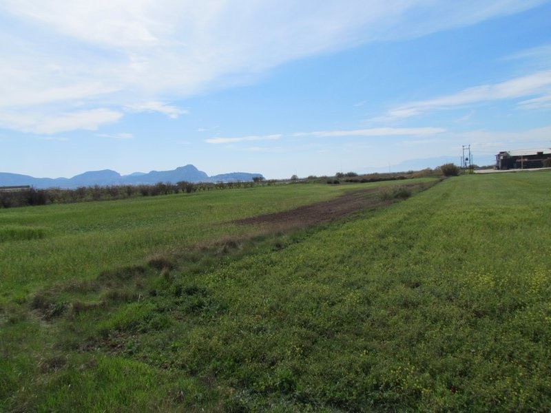 Αγροτεμάχια 10.750 τ.μ. προς πώληση, Νέα Κίος