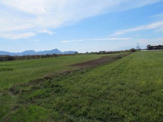 Αγροτεμάχια 10.750 τ.μ. για πώληση, Αργολίδα, Νέα Κίος-thumb-2